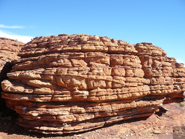 AustraliaAdelaide 10  133